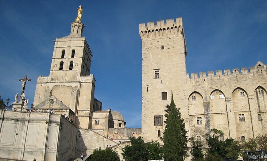 Image 2: Visite privée avec chauffeur d'Avignon, Arles et Les Baux