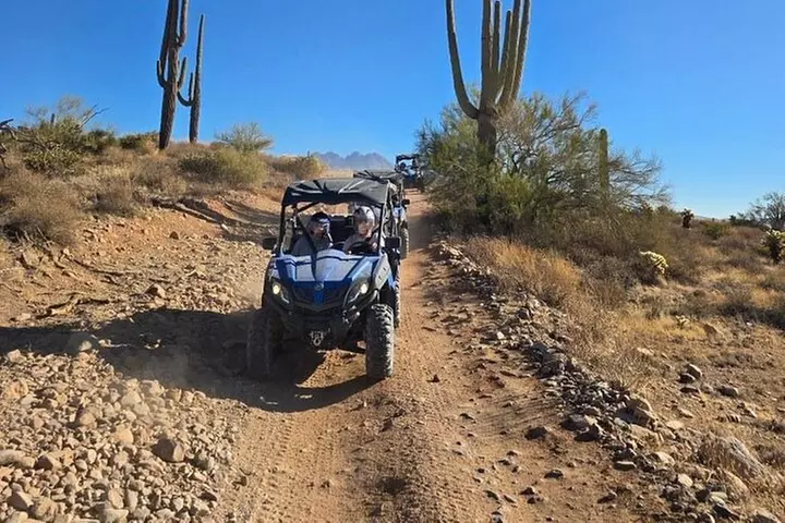 Sonoran Desert UTV Sand Buggy Off-Road Adventure, Scottsdale