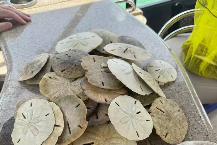 Clearwater Beach Private Pontoon Boat Tours