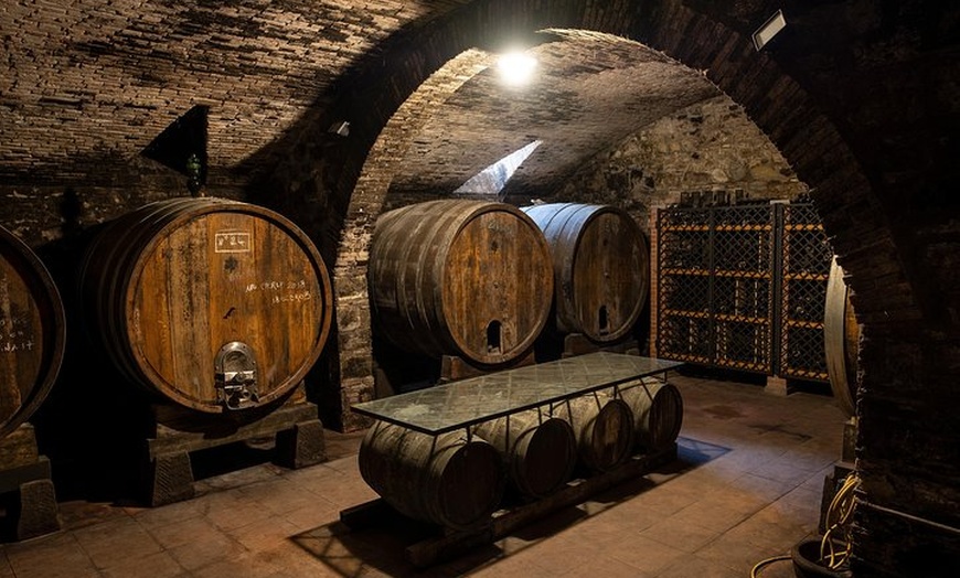 Image 11: Tour di un'azienda vinicola nel Chianti con degustazione di vini
