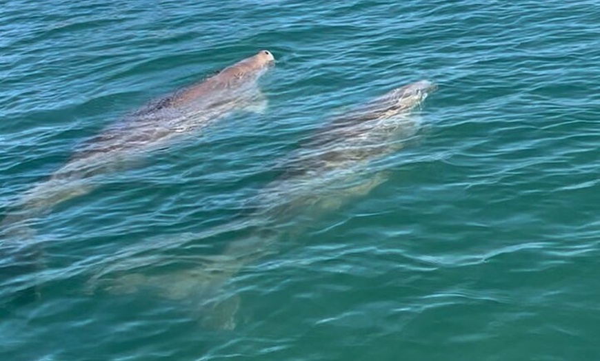Image 6: Guided Kayak Adventure Tour