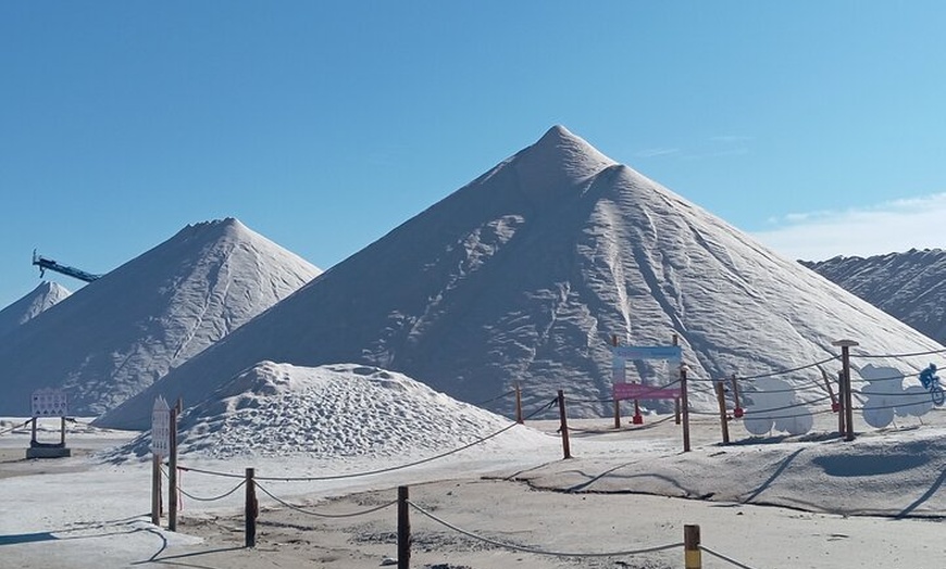 Image 6: Desde Torrevieja a Tabarca, Santa Pola y entrada a la Laguna Rosa