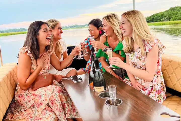 Sunset Private Captained Luxury Electric Boat Charter in Savannah - Primary Image