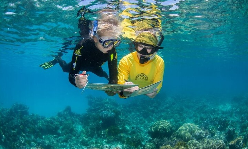 Image 6: Passions of Paradise Great Barrier Reef Cruise by Catamaran