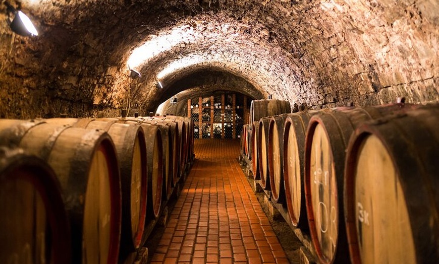 Image 2: Excursión a Logroño y Laguardia con visita a bodega desde Vitoria