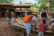 Dinosaur World Cave City - Second Medium