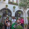 Image 3: Tour Guiado para Descubrir los Patios de Córdoba