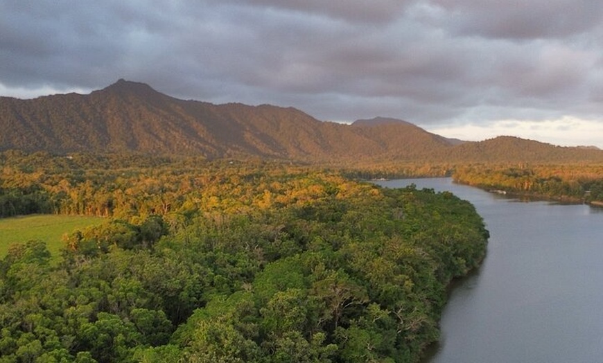 Image 9: Private Luxury Cape Tribulation Adventure and Crocodile Cruise