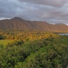 Image 9: Private Luxury Cape Tribulation Adventure and Crocodile Cruise