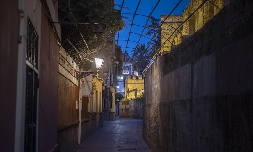 Image 12: Sevilla Fácil : Centro Histórico y Judería + Barrio de Triana