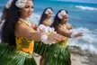 Germaine's Luau - Second Medium