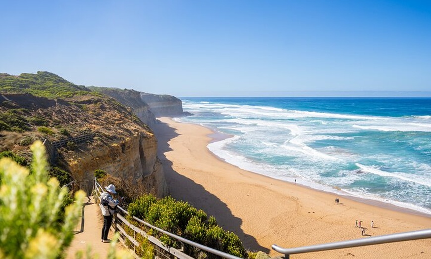 Image 8: Great Ocean Road Reverse Itinerary Boutique Tour - Max 11 Guests