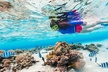 Snorkeling at Hanauma Bay - Second Medium