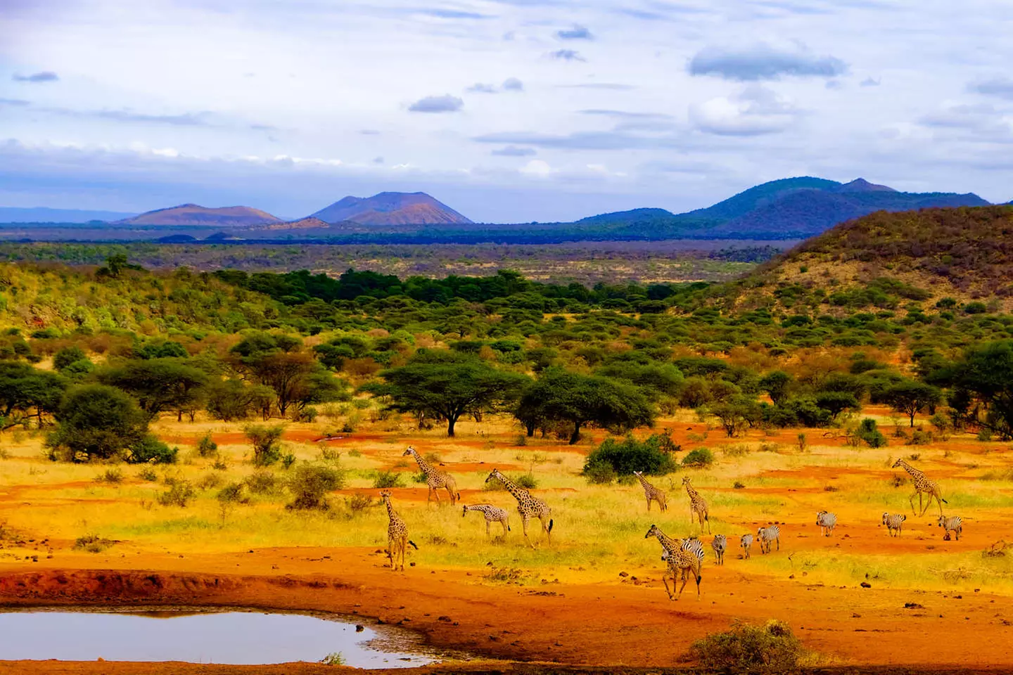 ✈ KENYA | Mombasa - Riserve naturali in safari e spiagge in Kenya 3...