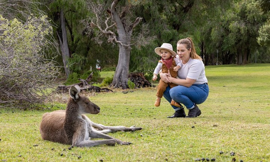 Image 12: Private Pinnacles Desert Tour from Perth