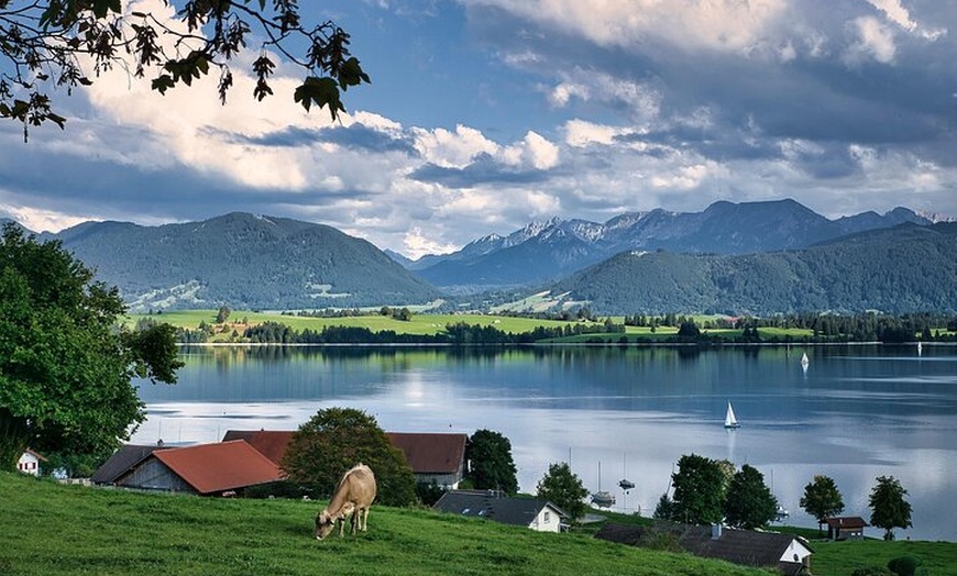 Image 6: Schloss Neuschwanstein Premium Kleingruppenzugtour