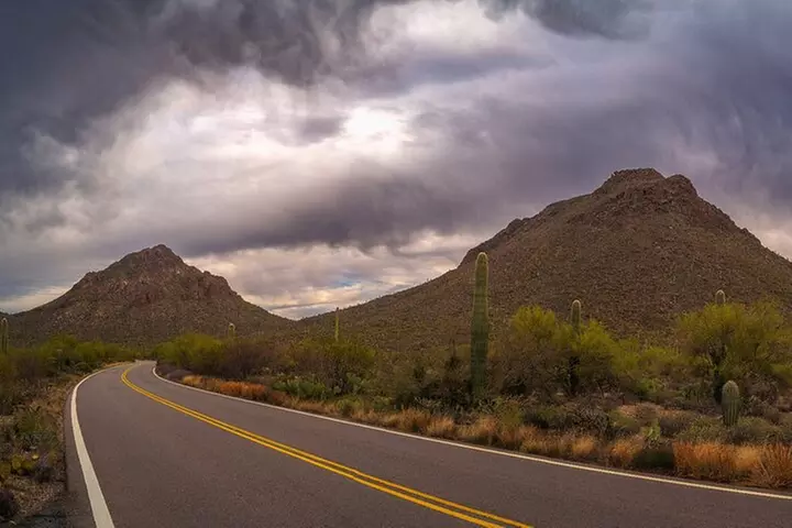Saguaro National Park Self-Guided Driving Audio Tour
