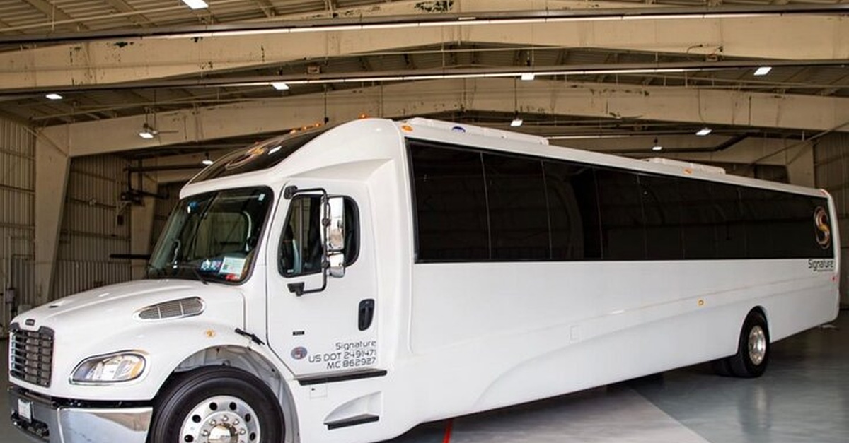 Luxury Minibus Chicago City Tour