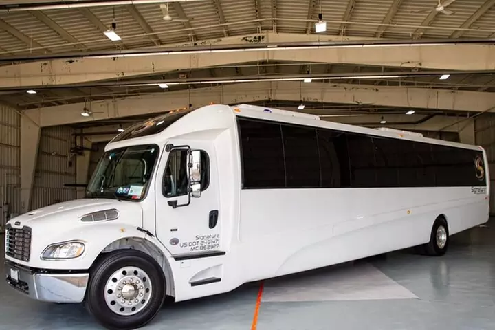 Luxury Minibus Chicago City Tour