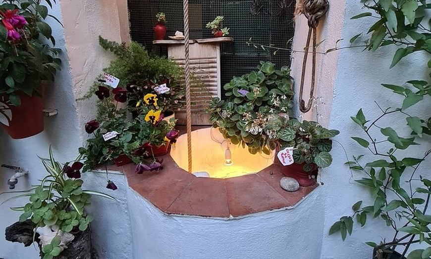 Image 5: Tour Especial Festival Patios de Córdoba