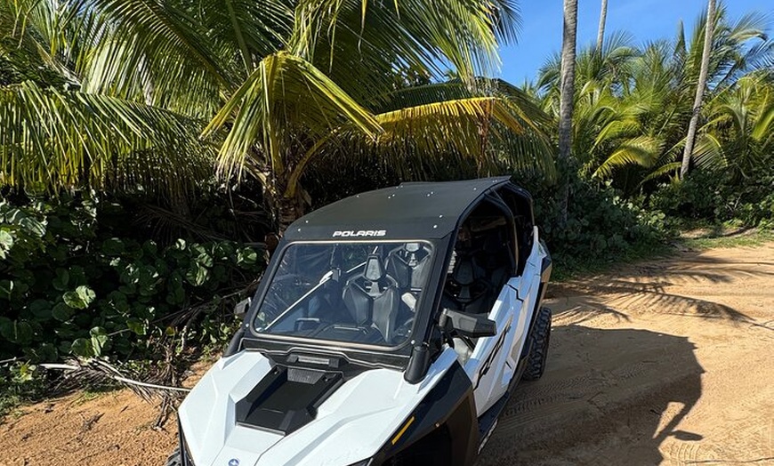 Image 8: Luxury UTV rentals and guided tours through San Juan P R