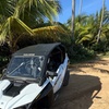 Image 8: Luxury UTV rentals and guided tours through San Juan P R