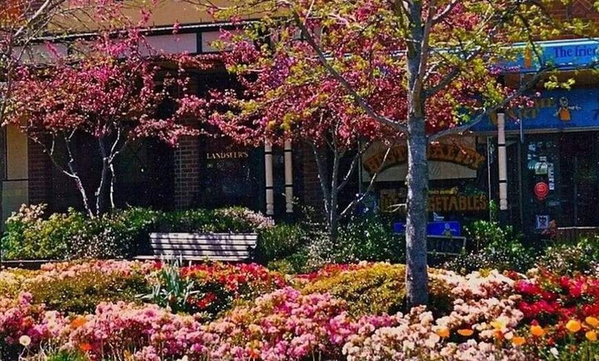 Image 23: Blue Mountains Private Tour & Hidden Gems, Pick up & Drop off