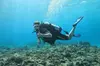 SCUBA Dive at Electric Beach with Photos -No Certification Needed