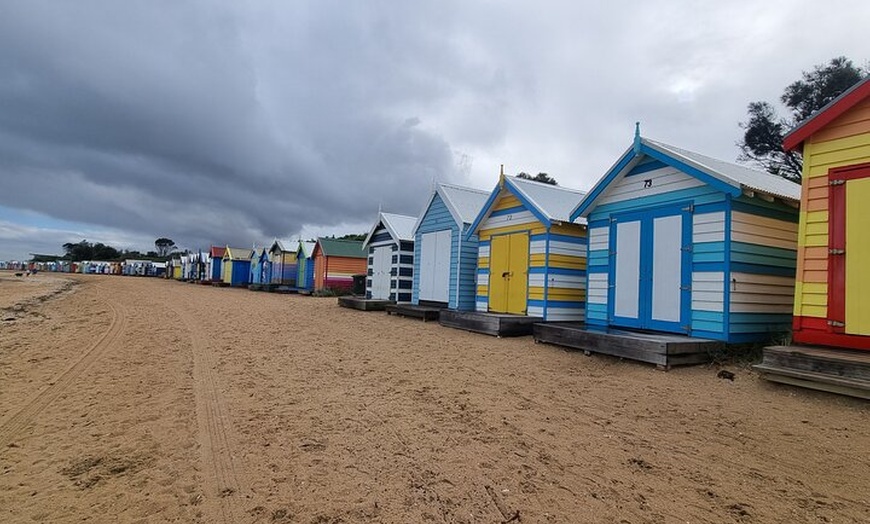 Image 8: Private 12 Apostles Express Tour - Shorter