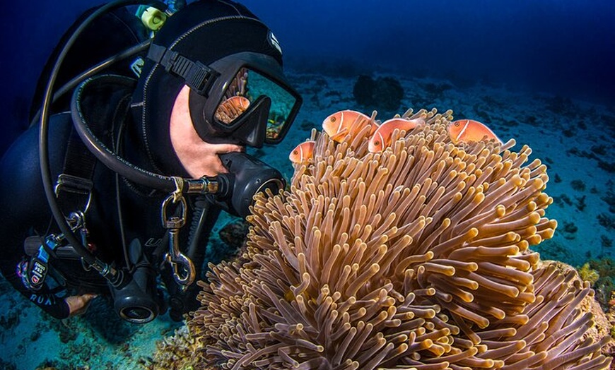 Image 5: Passions of Paradise Great Barrier Reef Cruise by Catamaran