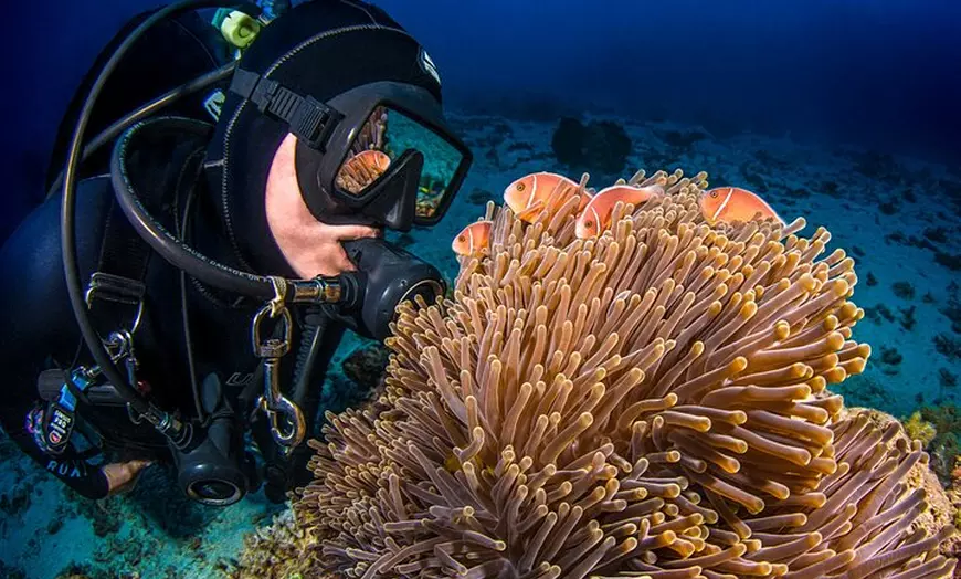 Image 4: Passions of Paradise Great Barrier Reef Cruise by Catamaran