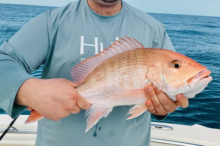 Fishing Charters in Clearwater Beach Florida