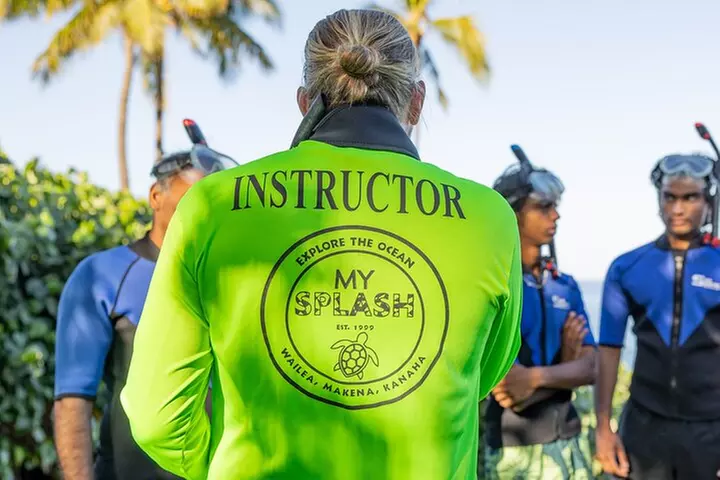 Snorkel with Turtles and Free Underwater Photos Lahaina - Second Medium