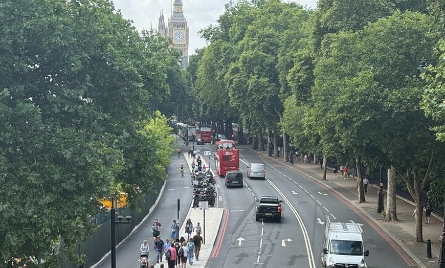 Image 19: Private 3 Hour Black Taxi Tour of London