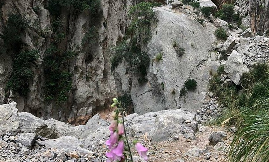 Image 21: Senderismo por el Torrente de Pareis