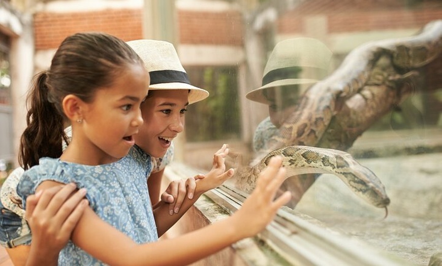 Image 9: Berlin Tierpark Ohne Anstehen Tickets und Individualverkehr