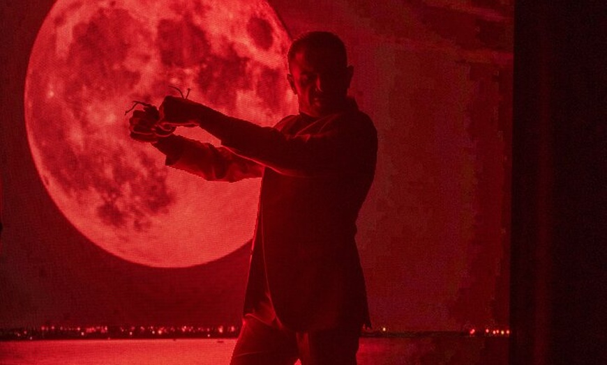 Image 13: Espectáculo Flamenco en el Tablao la Carmela en Madrid