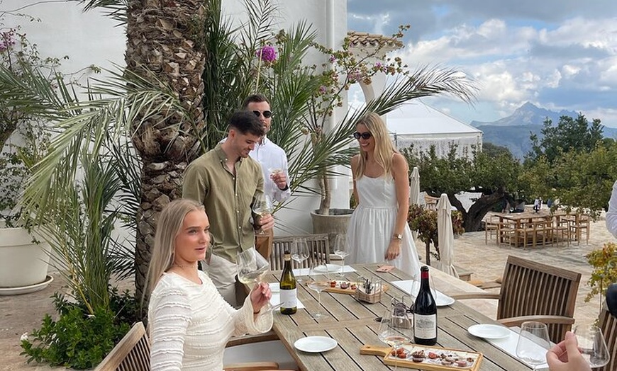 Image 9: Alicante : Catas de Vinos & Tapas Privadas en 2 Bodegas Boutique