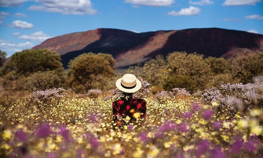 Image 15: Pinnacles Desert Lobster Tour from Perth