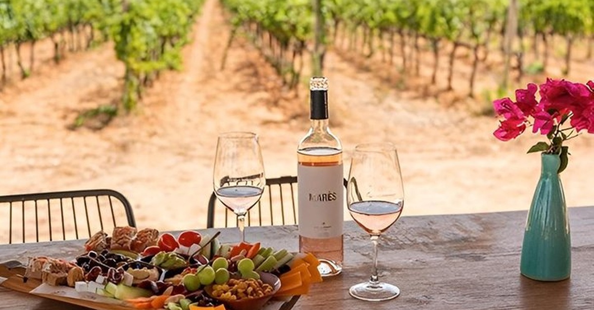 Visita a Bodegas Bordoy con cata de cinco vinos y tapas en Palma de Mallorca