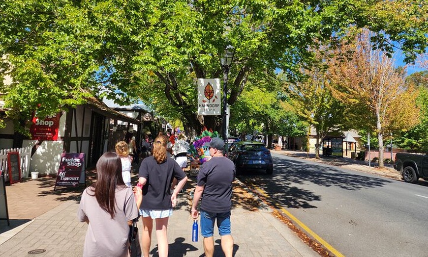 Image 2: Premium Adelaide Hills Full Day Shore Tour Cruise Port Pick-up