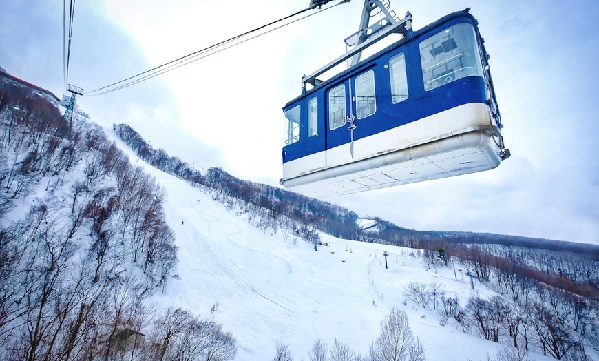 Image 8: ✈ JAPON | De Sapporo à Tokyo - A la découverte de Hokkaido 3* - Cir...