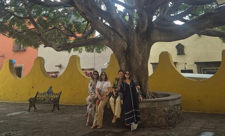 Image 24: Private Tour Guide in San Miguel de Allende