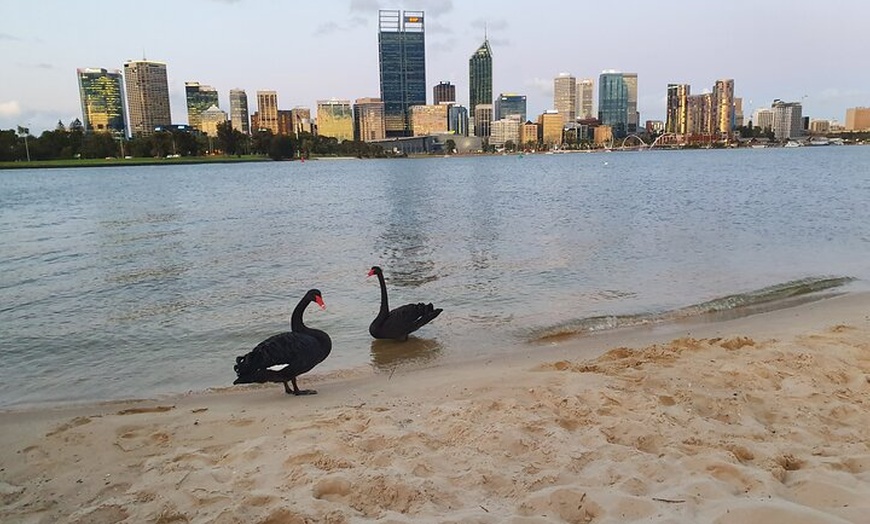 Image 6: Evening City Lights Kayak Tour in South Perth