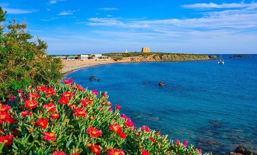 Image 9: Excursión de un día a la isla de Tabarca desde Murcia o Torrevieja