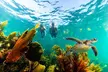 Private Boat Ride & Snorkeling Tour In Puerto Morelos - Second Medium