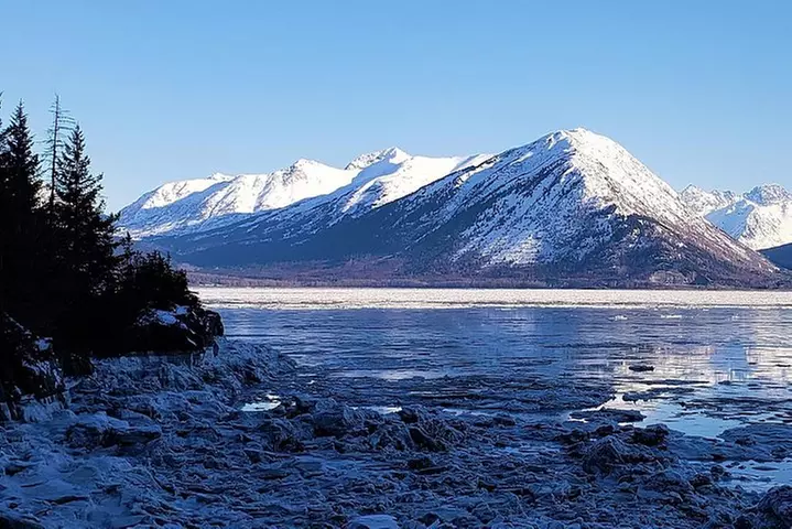Wilderness, Wildlife, Glacier Experience from Anchorage