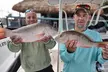 Half-Day Backcountry Fishing Charter from Key West - Second Medium