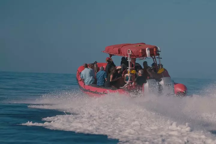 Maui: 2-Hour Molokini Guaranteed Snorkel Trip