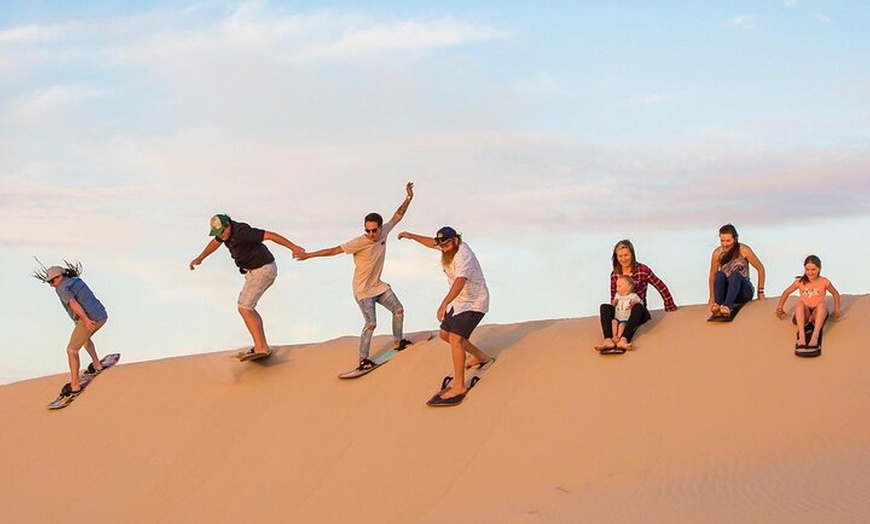 Image 10: Port Stephens Dolphin Cruise Koalas Sandboarding Japanese Tour